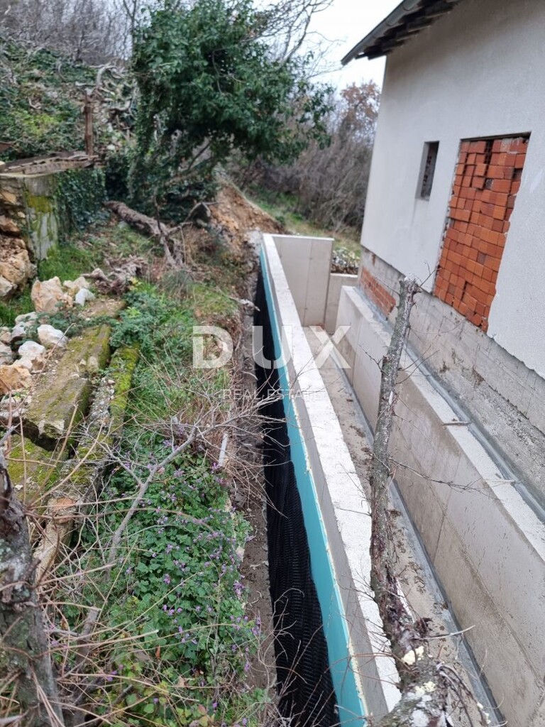 Image 13