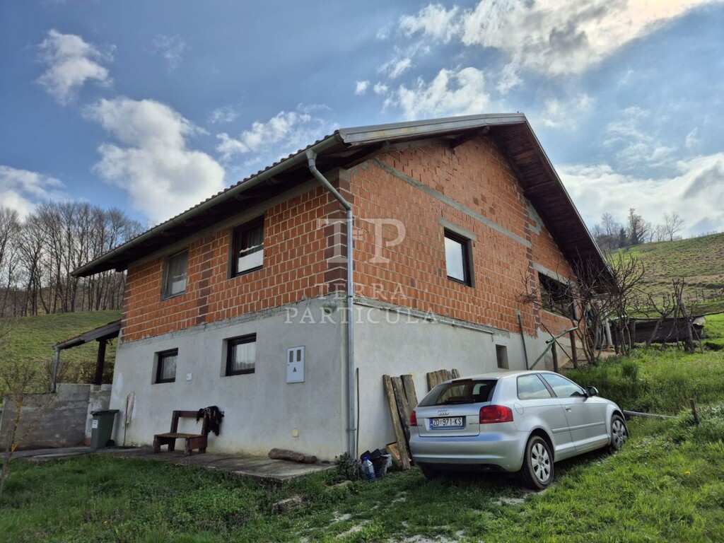 Image 13