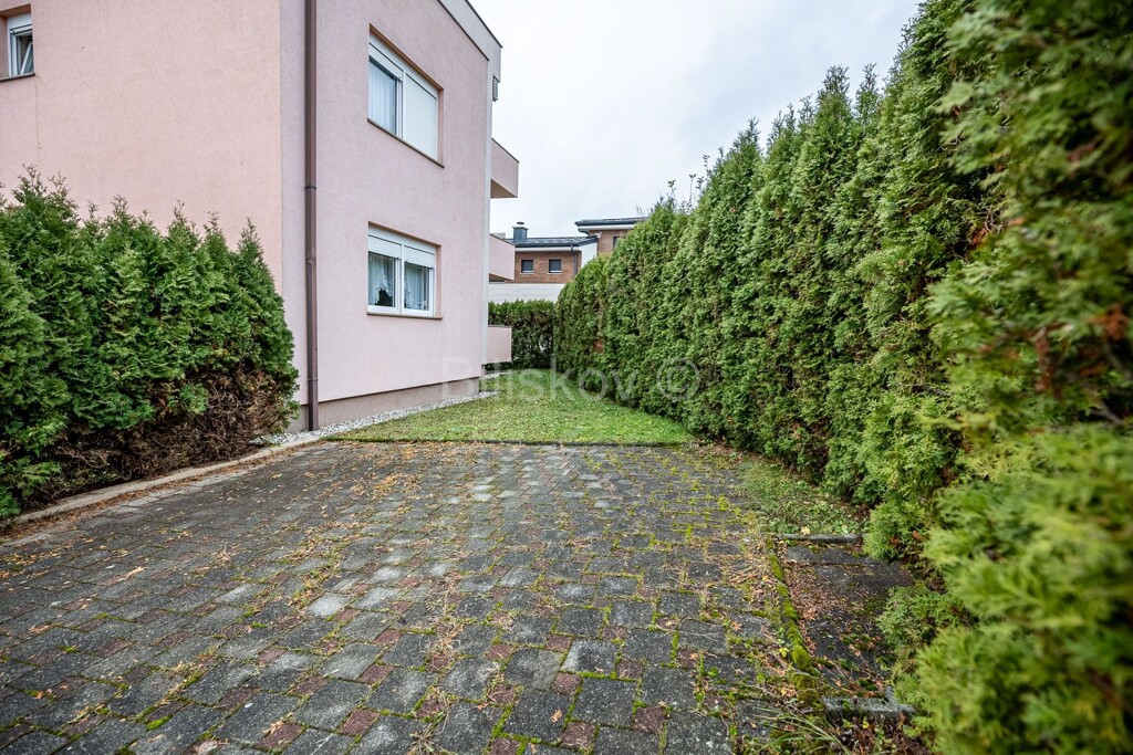 Image 6199346 - 13