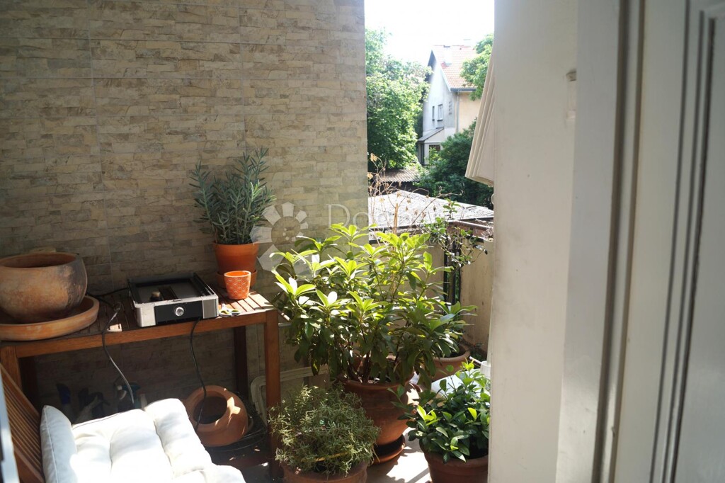 Image 13