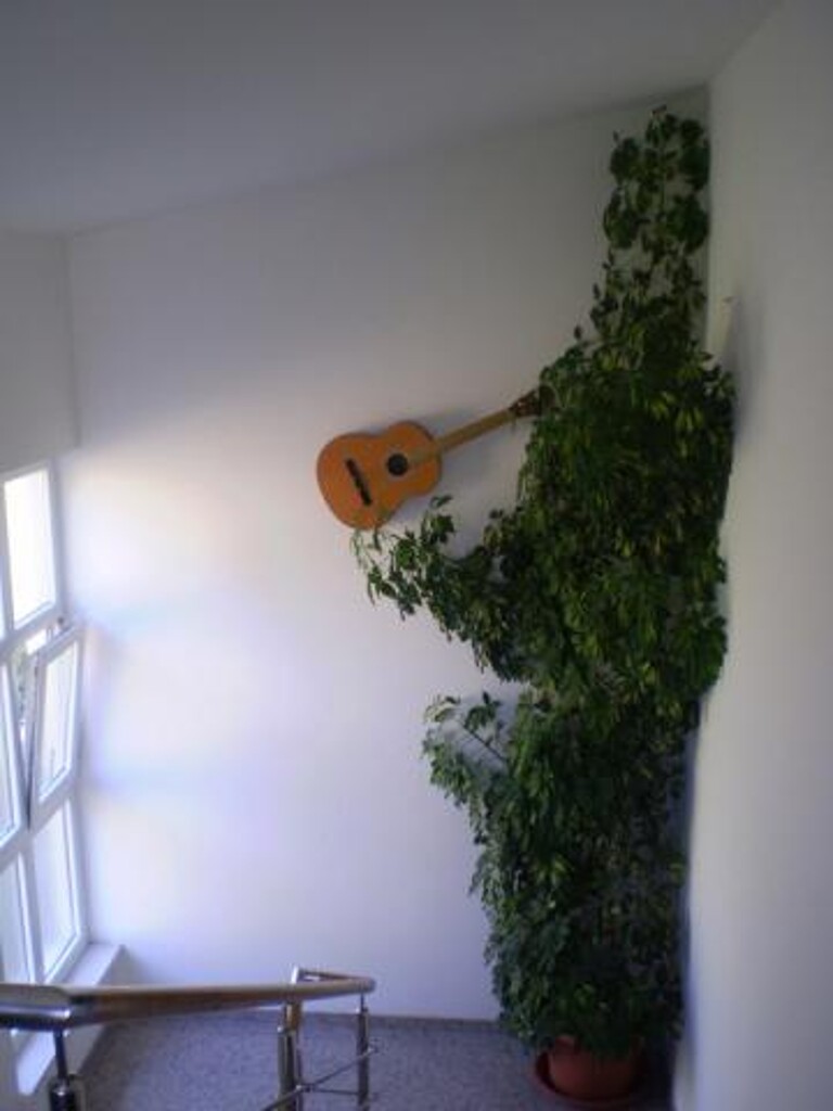 Image 3838956 - 6