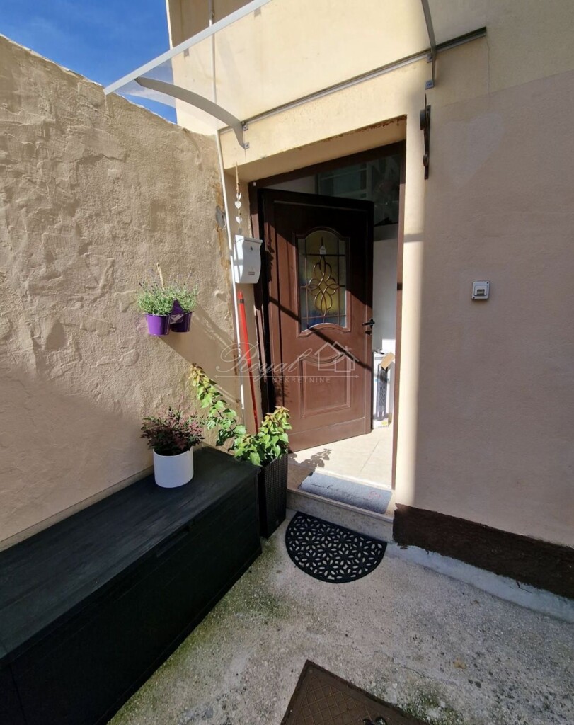 Image 19
