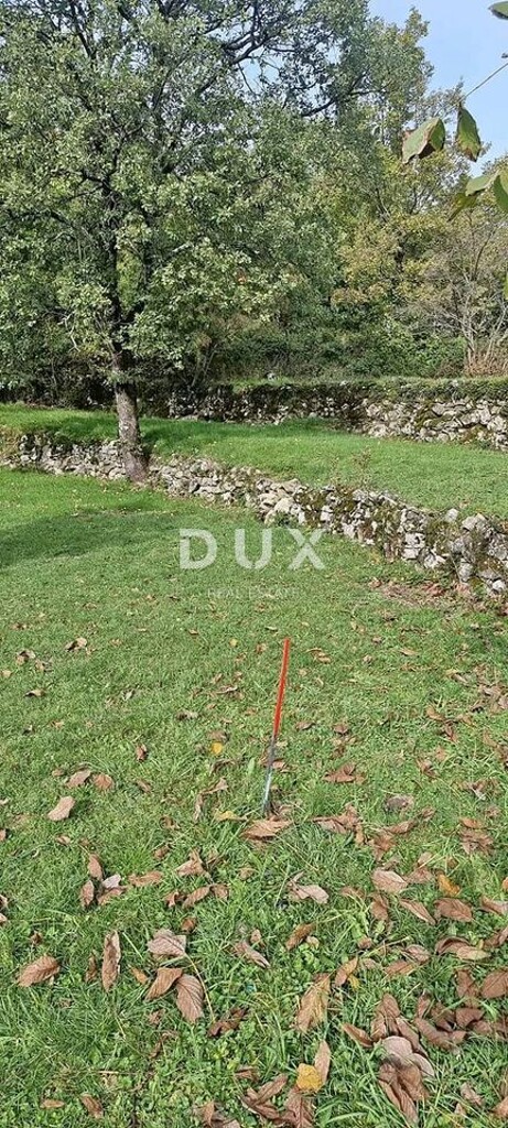 Image 14