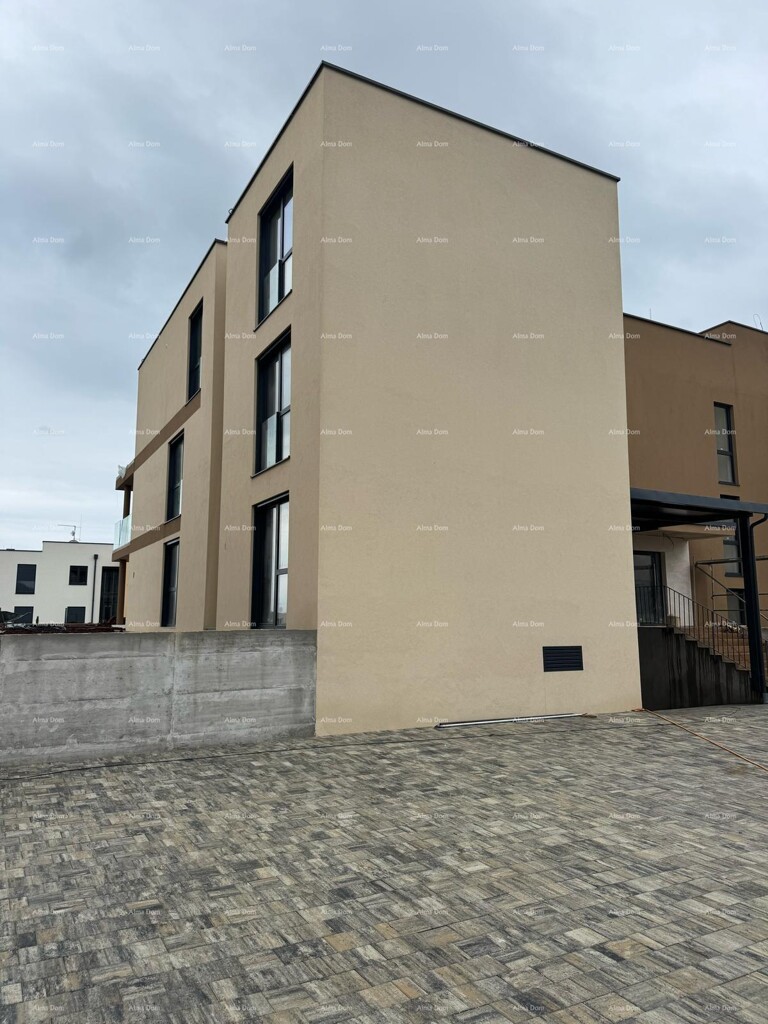 Image 13