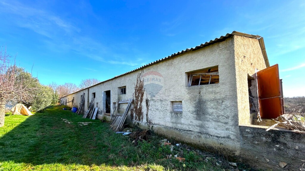 Image 12