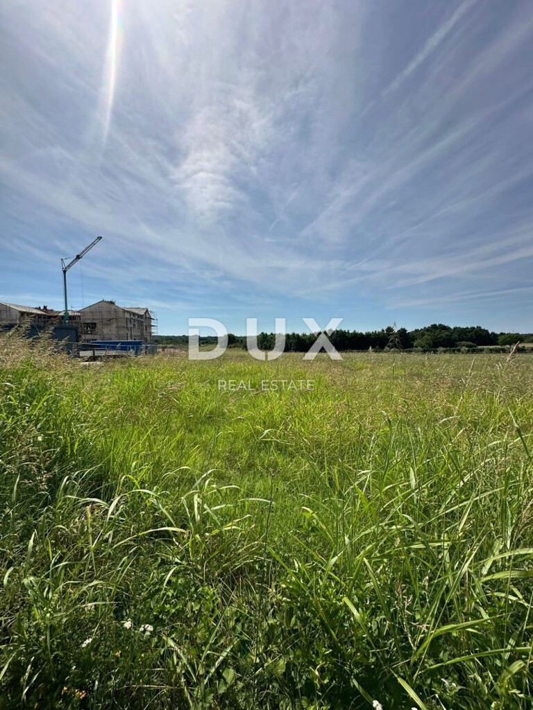 Image 20