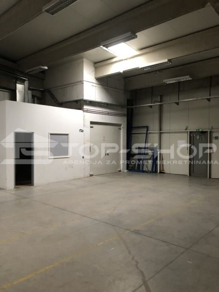 Image 5
