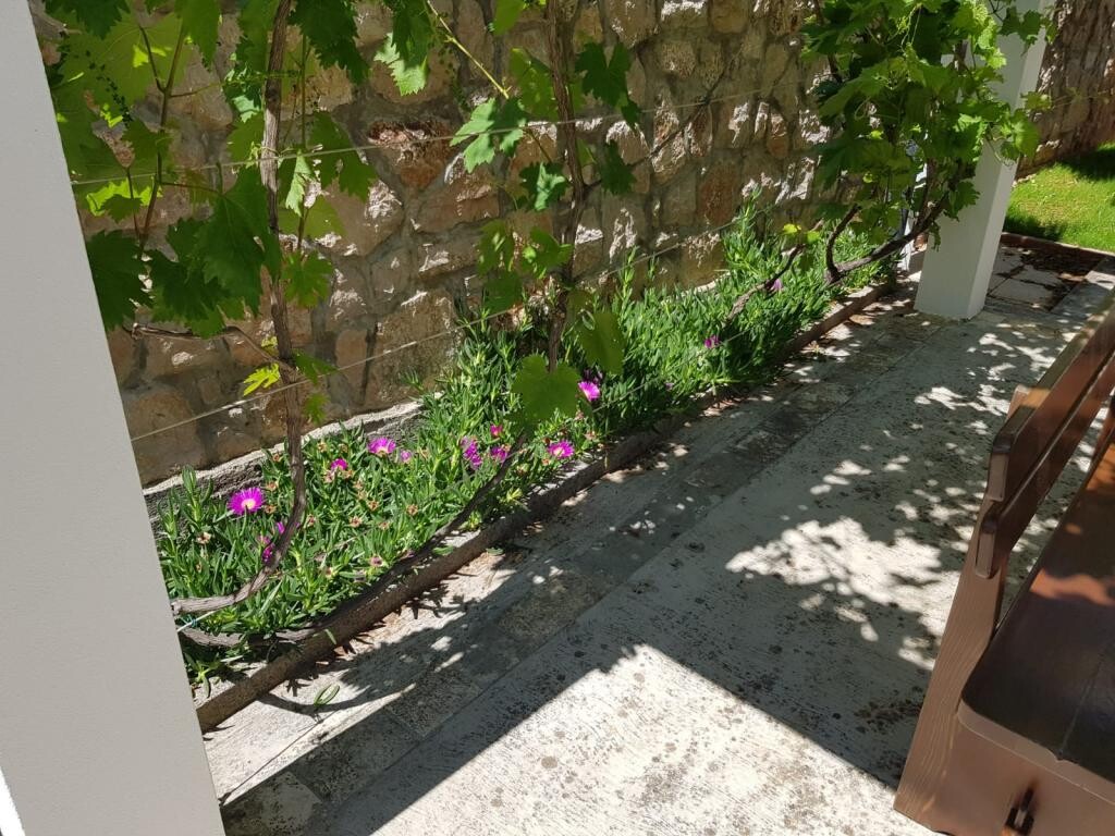 Image 3814573 - 7