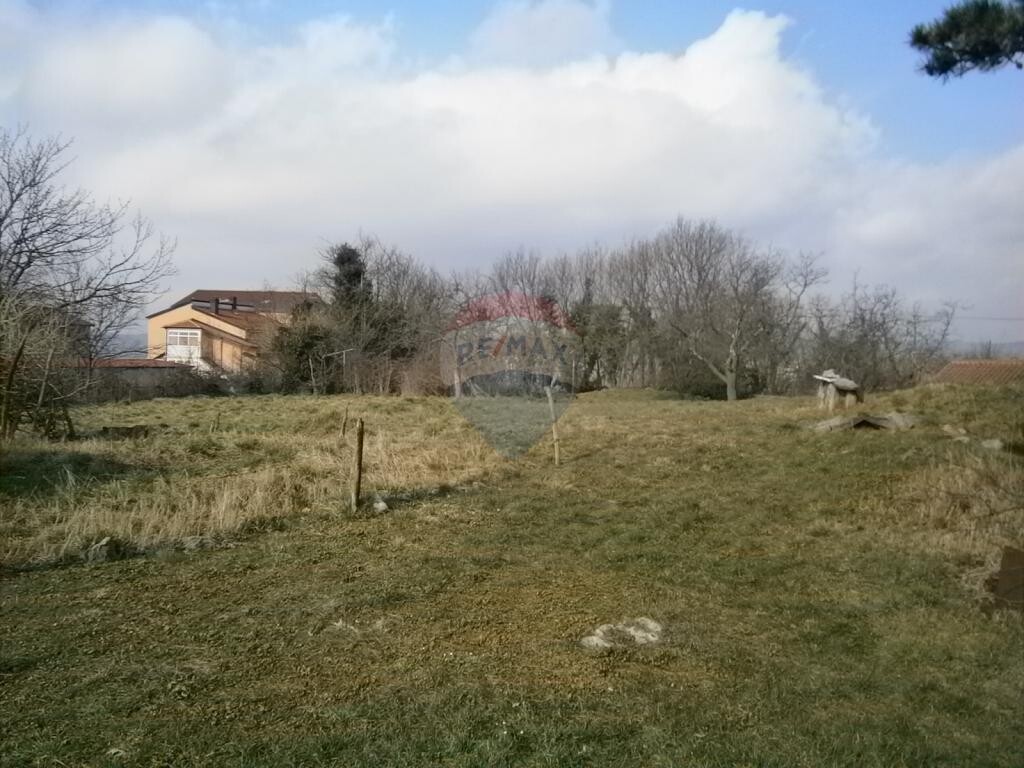 Image 5410913 - 4