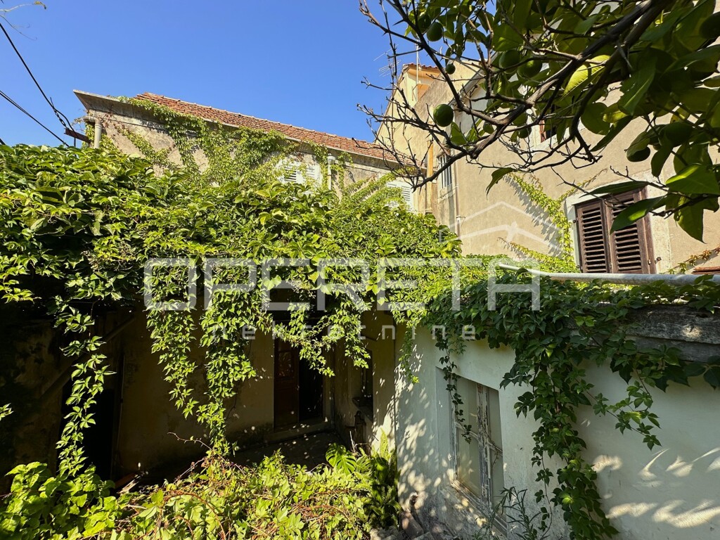 Image 18