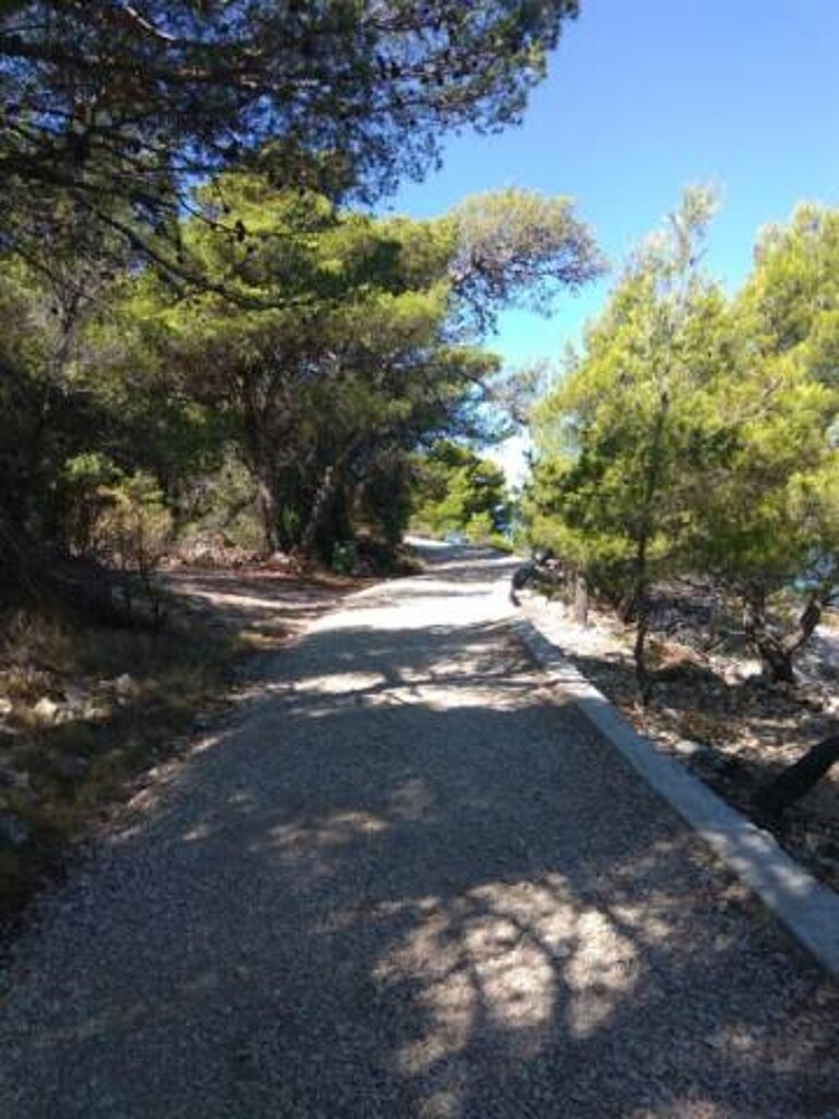 Image 3812600 - 9