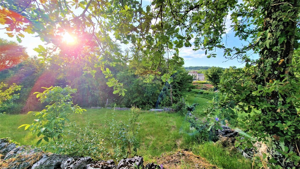 Image 5429793 - 4
