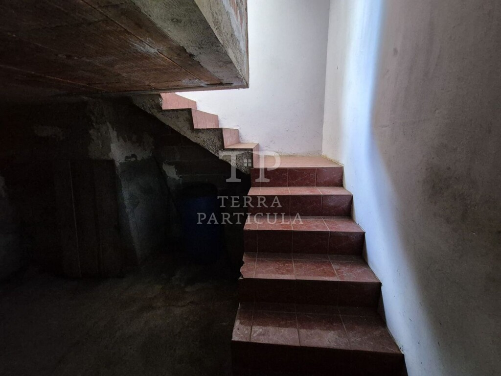 Image 22