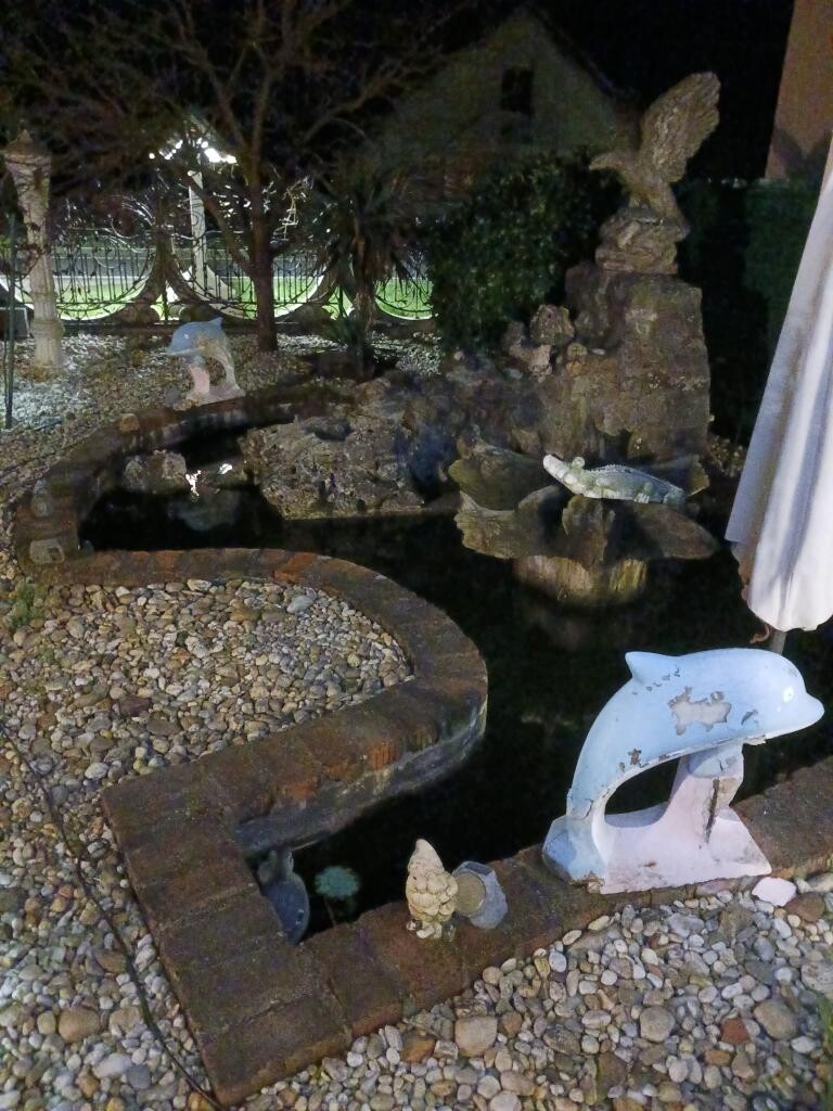 Image 13