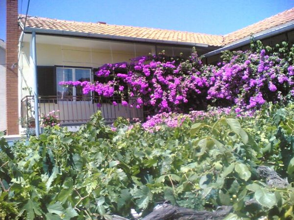 Image 3838785 - 1