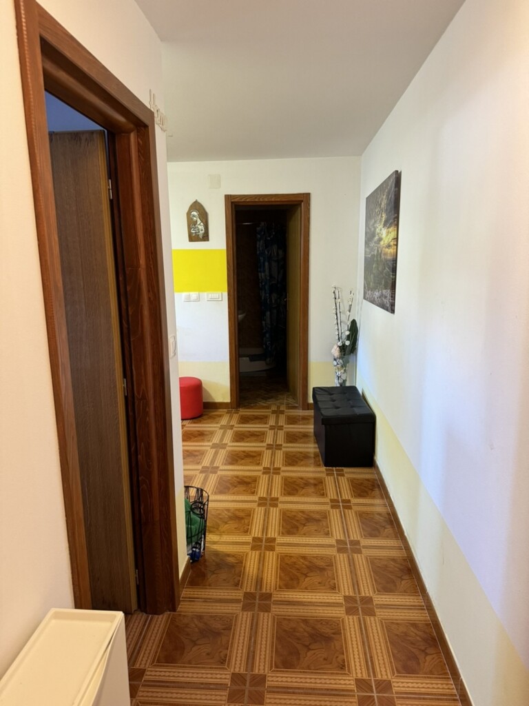 Image 13