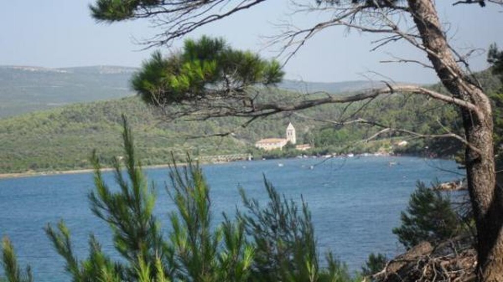 Image 3823630 - 6