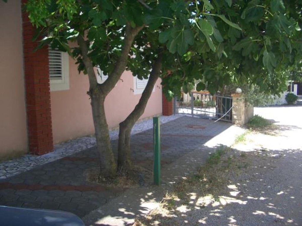 Image 3810839 - 13