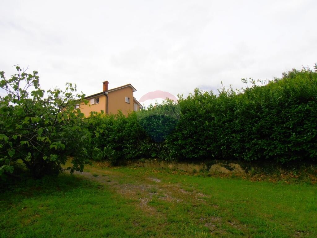 Image 5411006 - 6