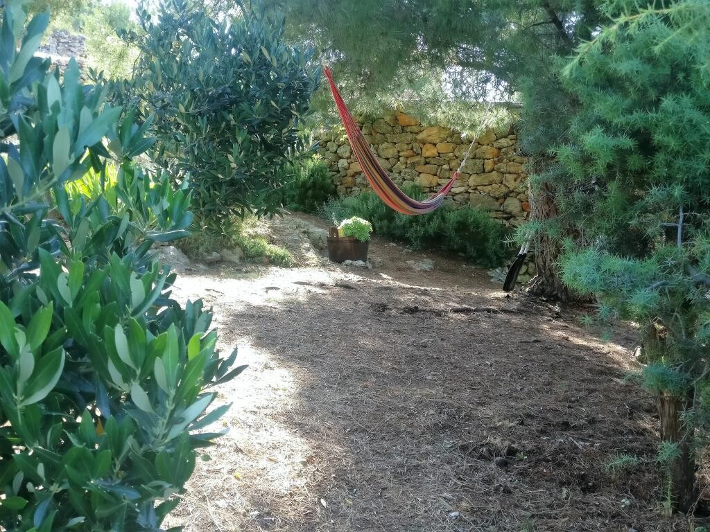 Image 23