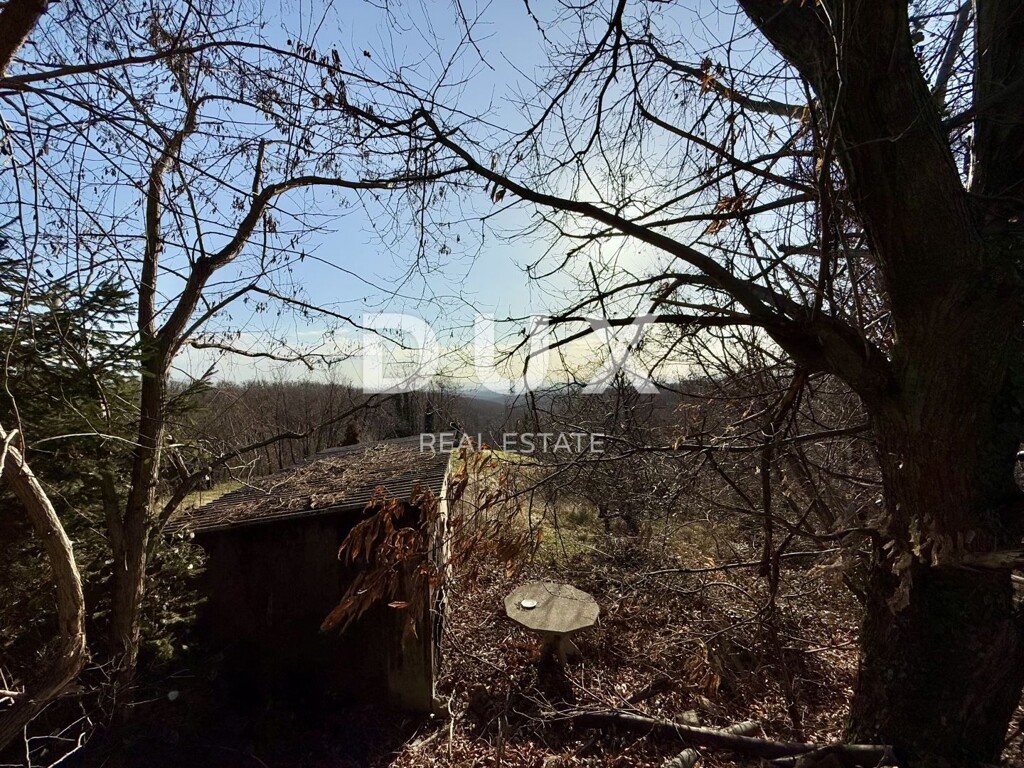 Image 8