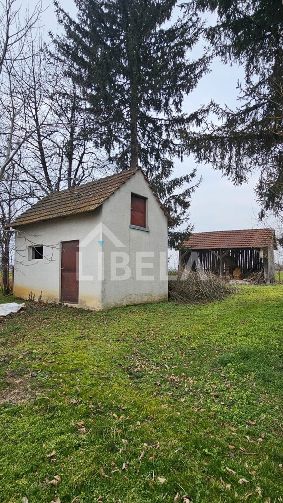 Image 10