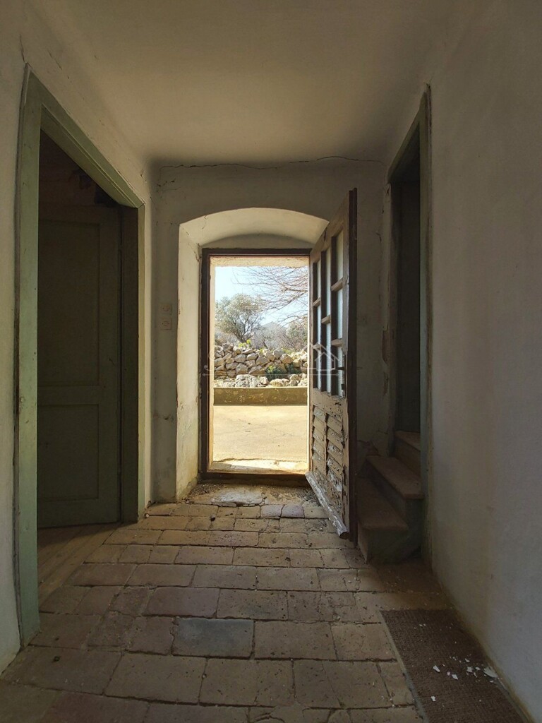 Image 15