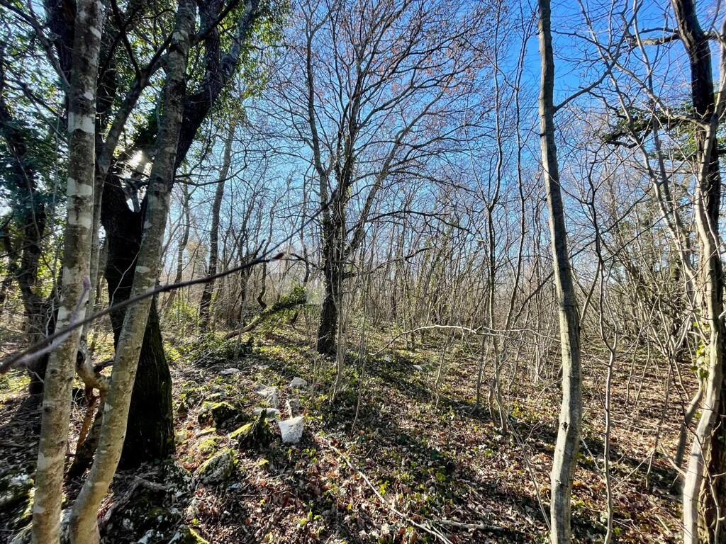 Image 10
