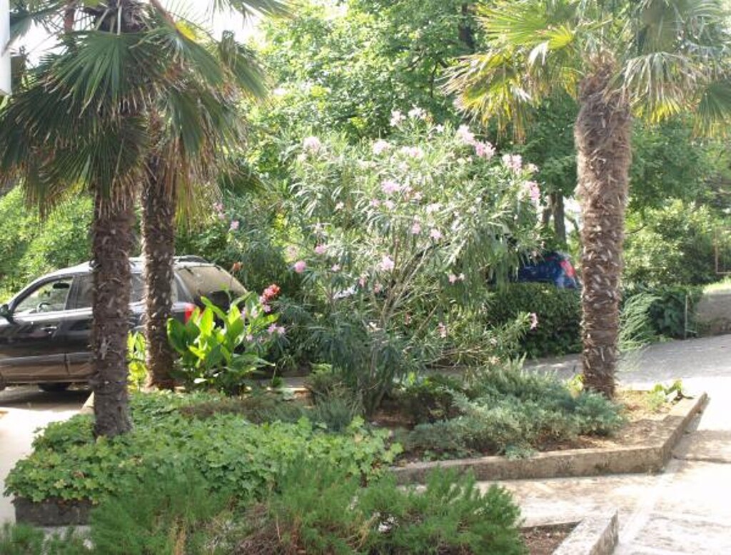 Image 3812496 - 5