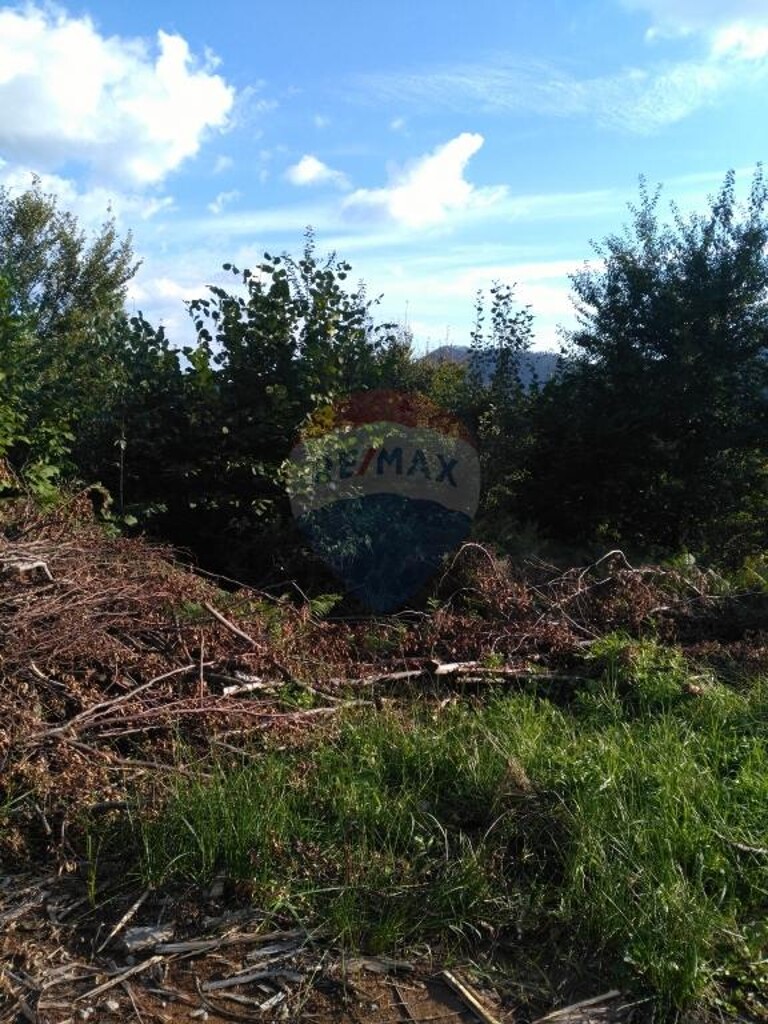 Image 5410600 - 1