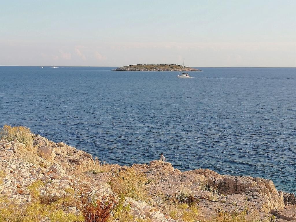 Image 3811148 - 16