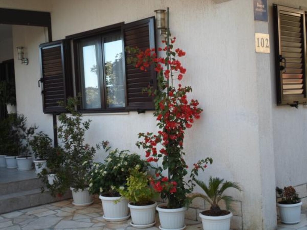 Image 3838871 - 3