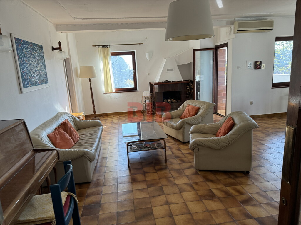 Image 13