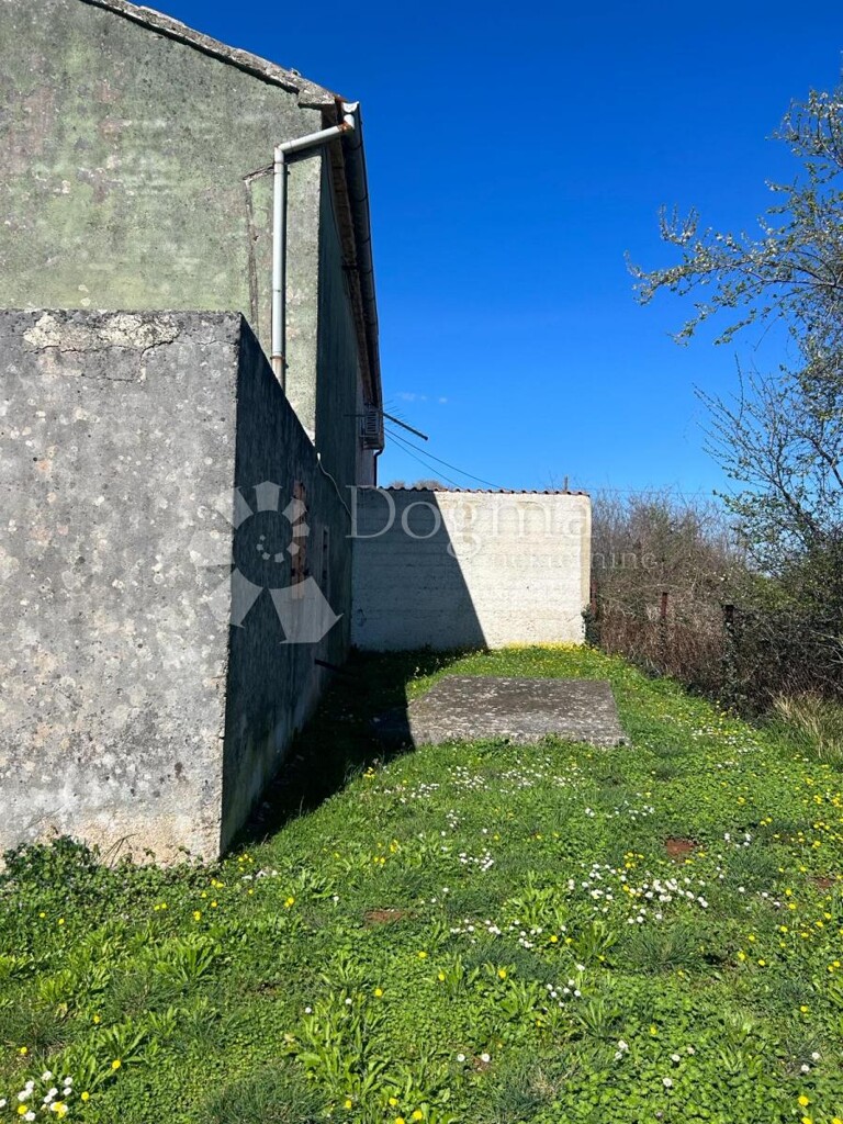 Image 19