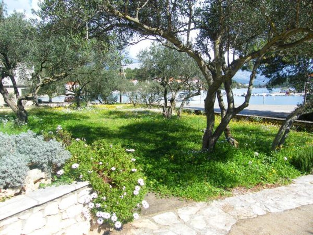 Image 3838753 - 5