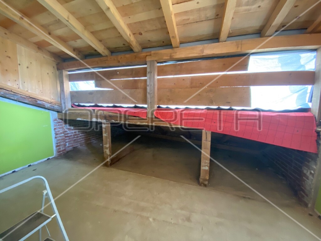 Image 13