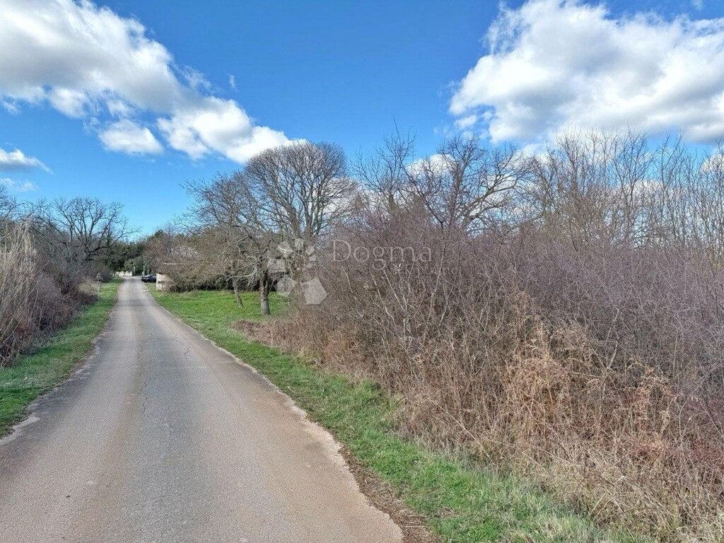 Image 22