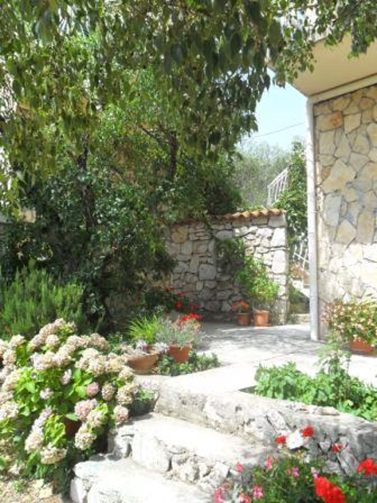Image 3814524 - 7