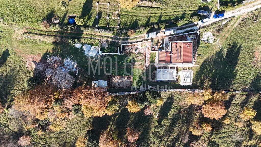 Image 6254499 - 6