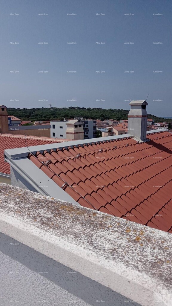 Image 21
