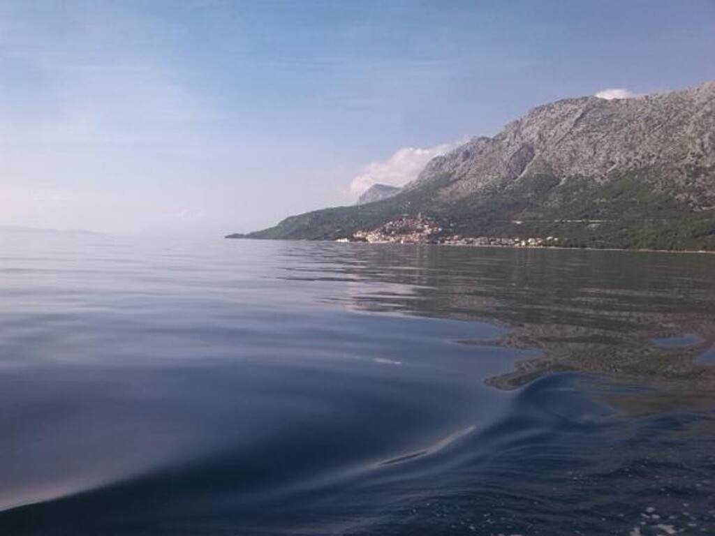 Image 3838628 - 17