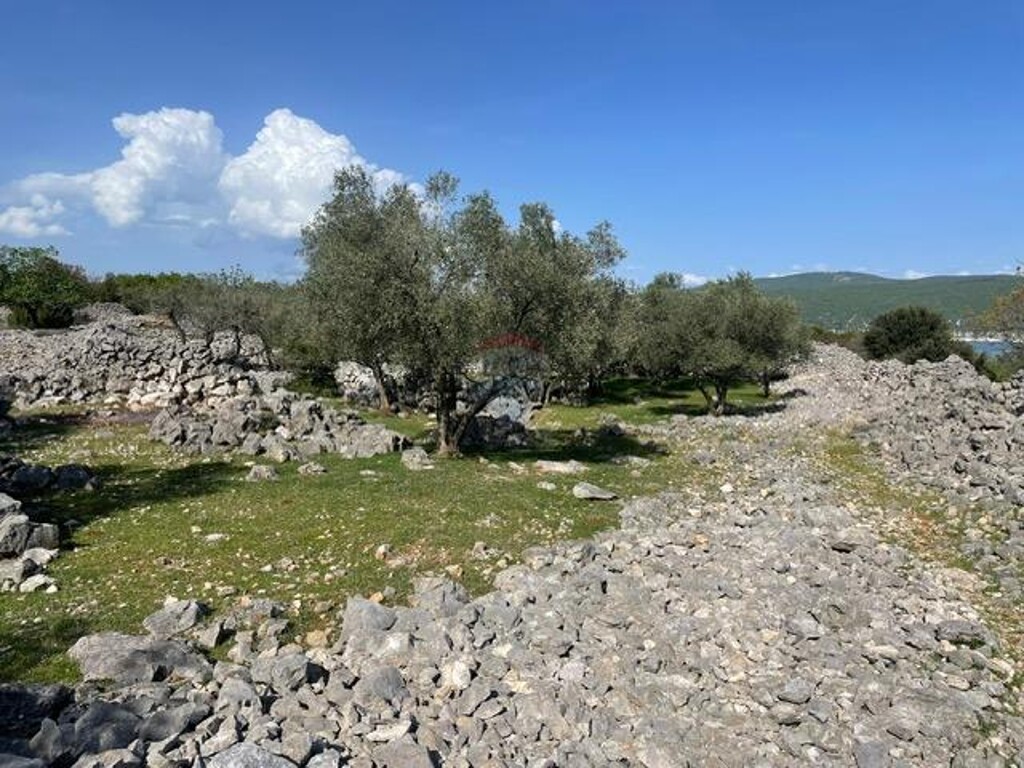 Image 13