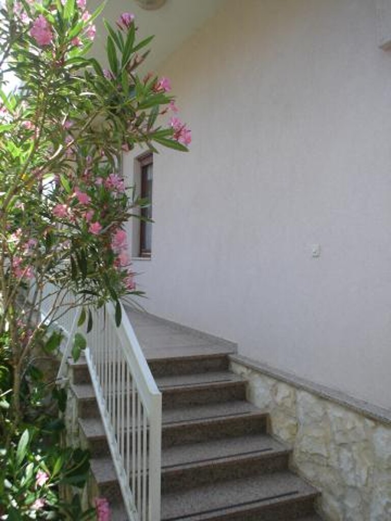 Image 3812199 - 16