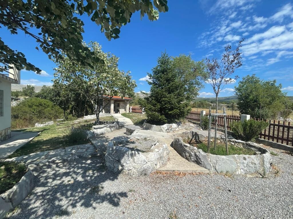 Image 3823088 - 8