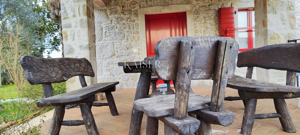 Image 19