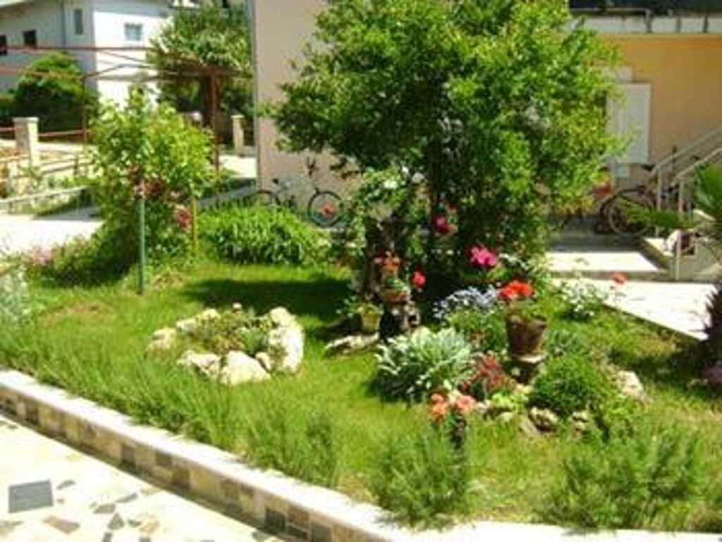 Image 3810733 - 10