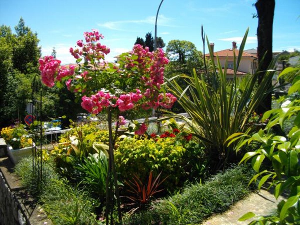 Image 3812579 - 14