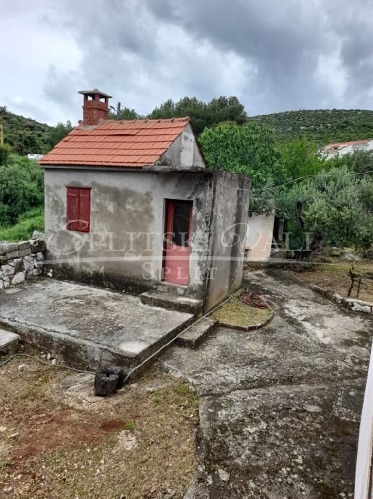 Image 15