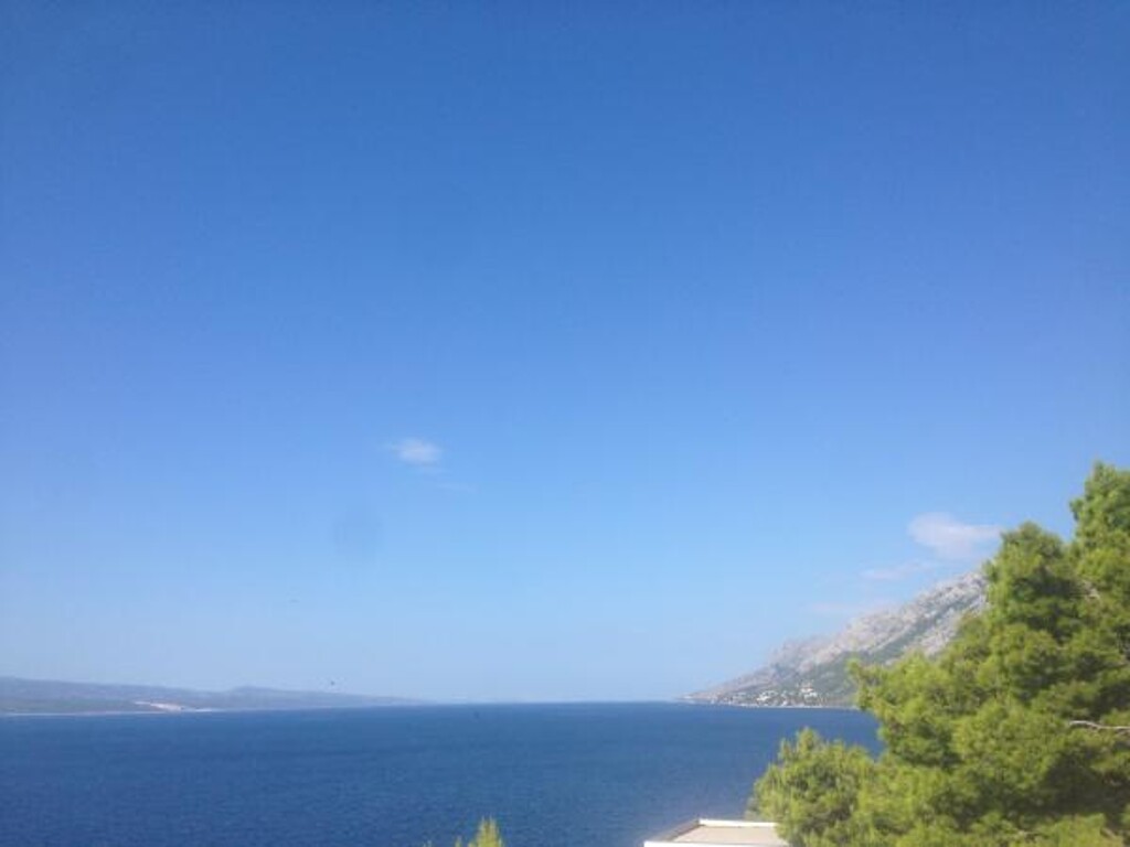 Image 3838533 - 3