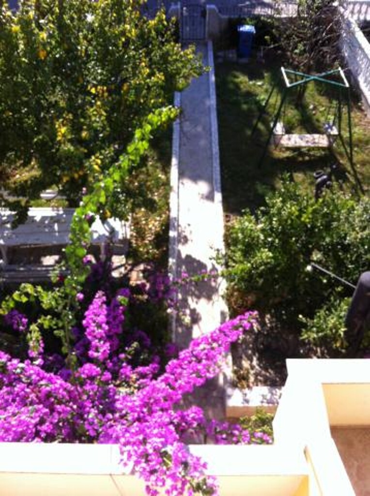 Image 3838939 - 6